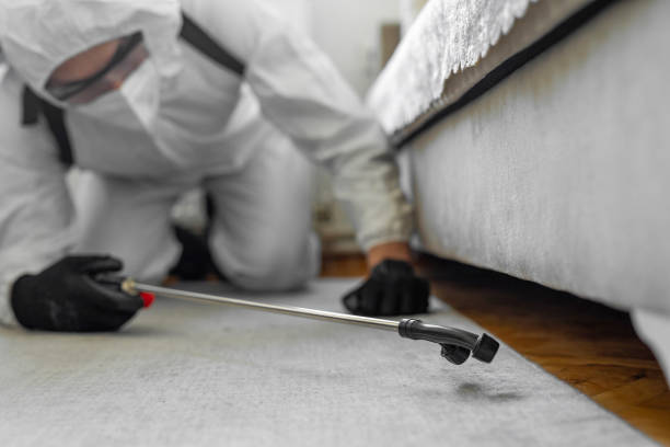Professional Fumigation Services technician working in Pella, IA