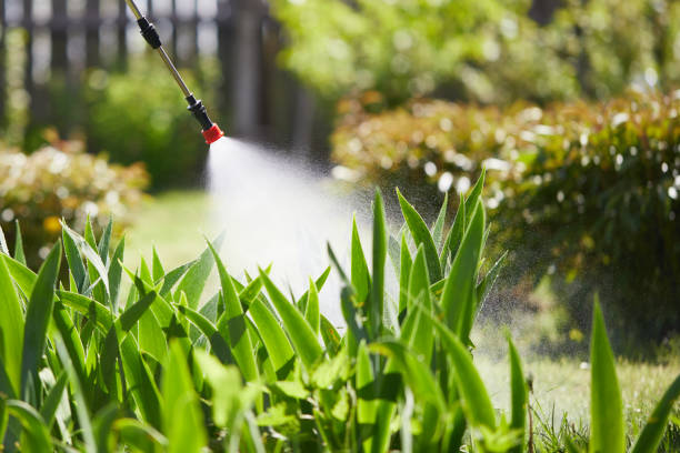 24/7 Emergency Fumigation Services experts in Pella, IA