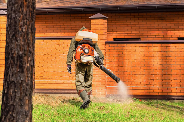 Trusted Bed Bug Control service in Pella, IA - Nex Pest Control
